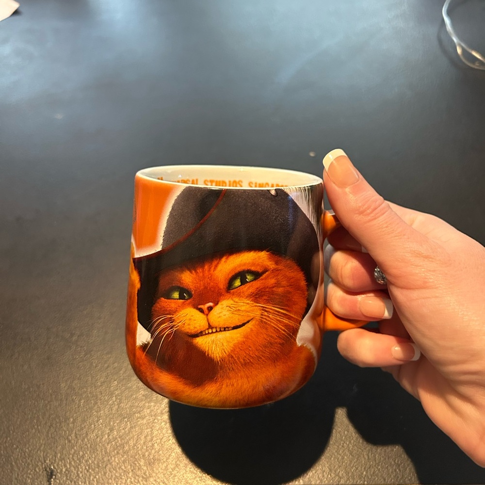 Universal Studios Singapore mug
